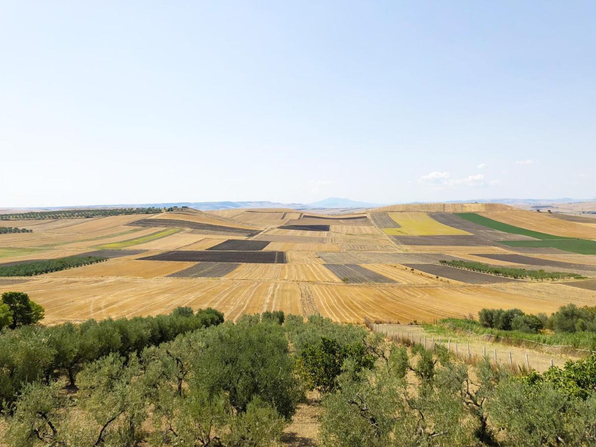 Апартаменти Ca Dei Sauri - Taste Of Puglia Castelluccio dei Sauri Екстер'єр фото
